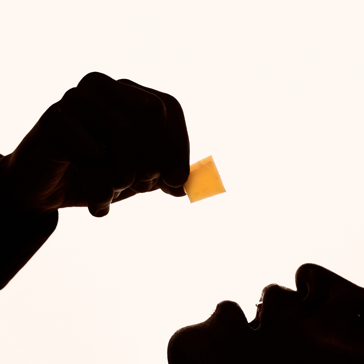 Coffee & Cheese Pairing Experience