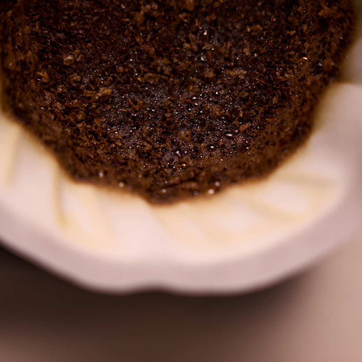 Coffee & Cheese Pairing Experience