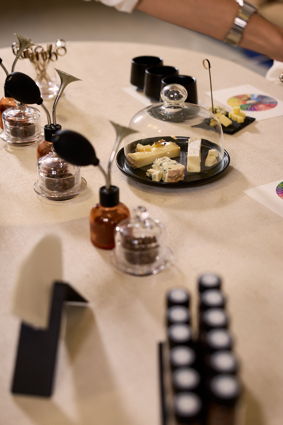 Palette Private Coffee & Cheese Tasting Experience | Sensory Pairing Dubai